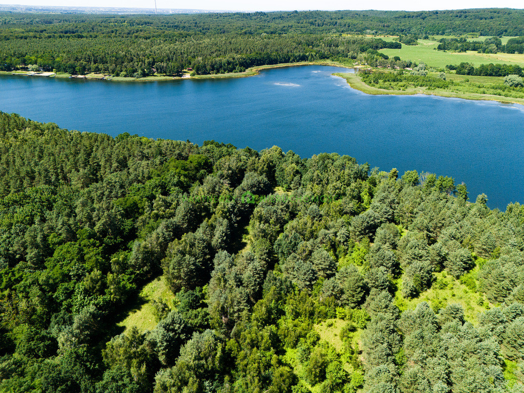 Działka Sprzedaż Binowo