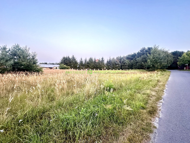 Działka Sprzedaż Niedźwiedź Łowiecka 1