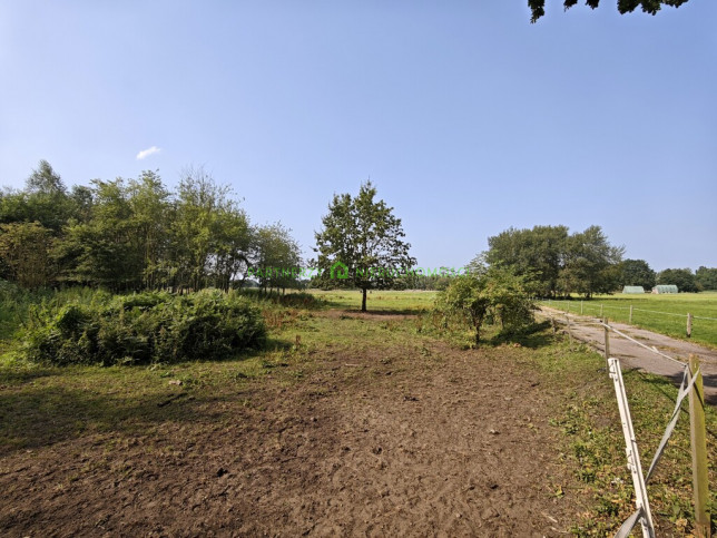 Działka Sprzedaż Dębostrów 5