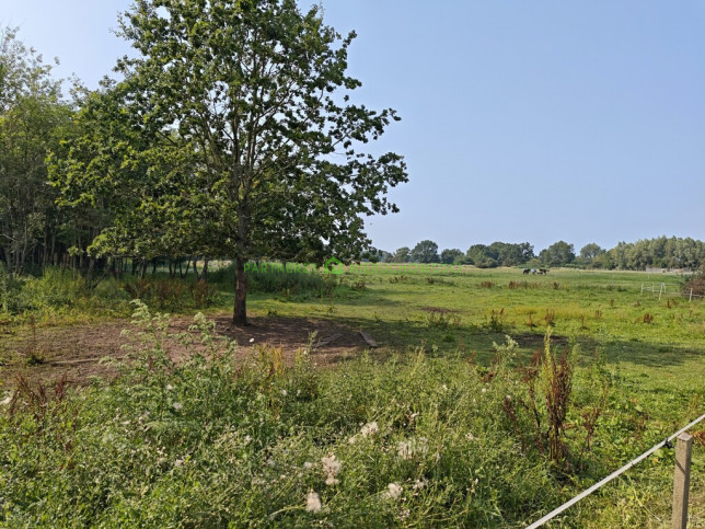 Działka Sprzedaż Dębostrów 8