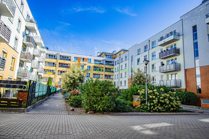 Mieszkanie Wynajem Szczecin Gumieńce Kazimierska 12