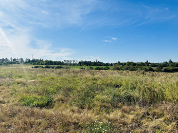 Działka Sprzedaż Kołczewo